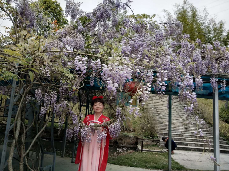 莉莉的第一张照片--光泽征婚网